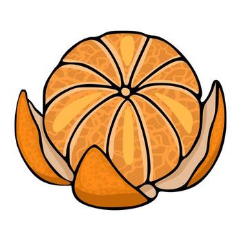 Stylized illustration of a peeled tangerine with visible segments and textured pulp, set against a clean white background. vector