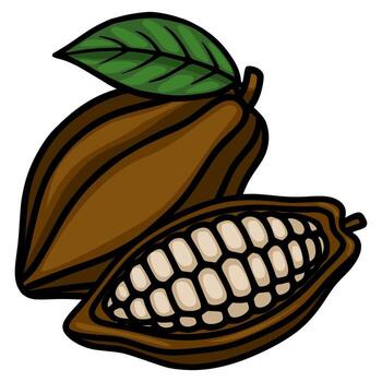 Stylized illustration of a whole and halved cocoa pod with visible beans and a green leaf. vector