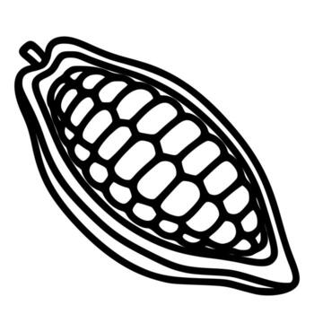 Stylized illustration of a cocoa pod with a cross-section revealing its inner structure, rendered in bold black lines on a white background. vector
