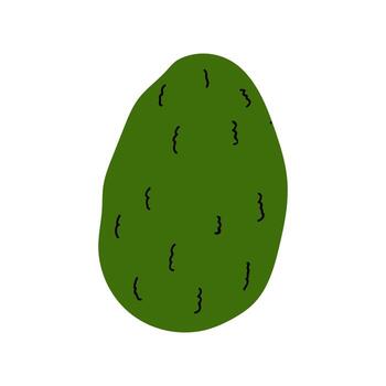 Illustration of avocado with dark green skin and a smooth texture on a plain background vector