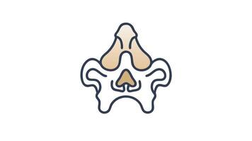 abstrakt geometrisk form med vätska rader och mjuk gradienter video