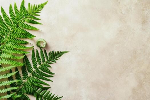 Fern Fronds and Green Curl on Textured Beige Background, Botanic photo