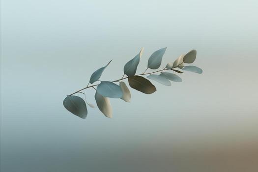 Eucalyptus Branch with Soft Lighting and Gradient Background, Mi photo