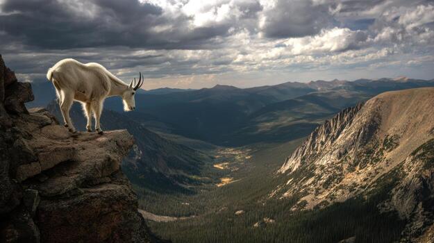 Mountain goat on cliff edge overlooking vast mountain range under a cloudy sky photo