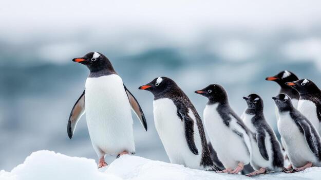 Group of penguins standing on ice with snowy background photo