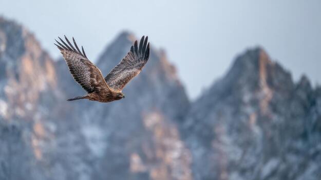 Majestic bird of prey soaring in flight against mountainous backdrop photo