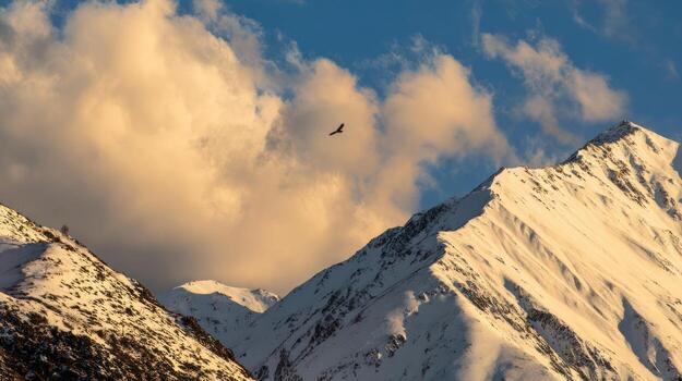 Snow capped mountains against blue sky with clouds and a flying bird photo