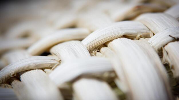 Close up of woven natural material texture with blurred background detail photo