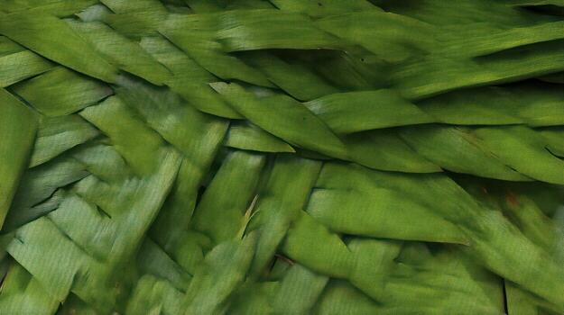 weave pattern of green leaves with texture and natural photo