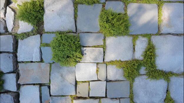 Stone pathway with greenery creating a natural textured - overhead view photo