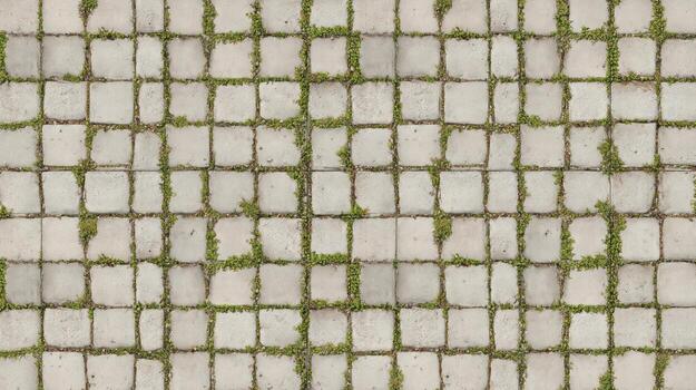 Overhead view of a weathered concrete grid with interspersed green vegetation photo