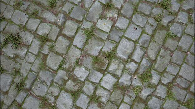 Overhead view of cobblestone path with grass growing through the stones photo