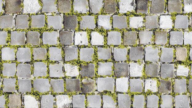 Overhead view of a textured cobblestone pathway with vibrant green vegetation photo
