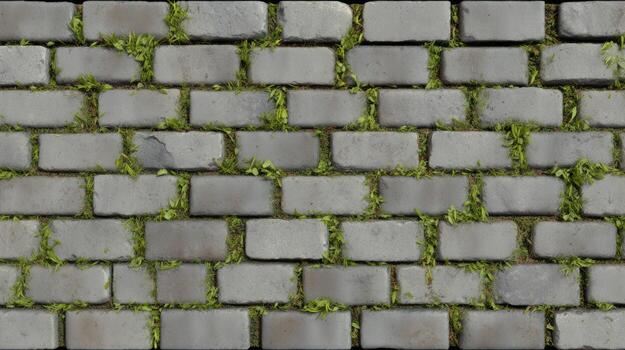 Brick pavement with green grass growing between blocks textured background photo