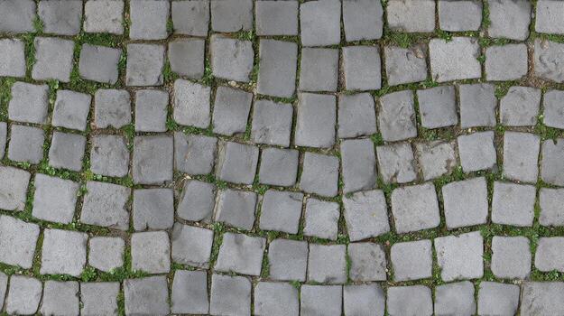 Overhead view of cobblestone path with square paving and green vegetation photo