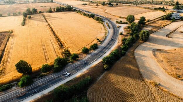 Aerial view of a road cutting through agricultural fields at daytime photo