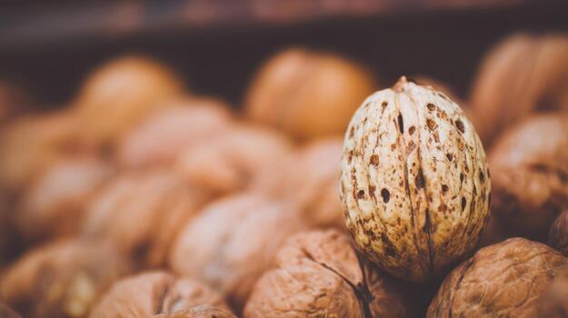 Close up of a walnut natural texture and selective focus photo