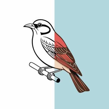 división diseño concepto de un pájaro en un rama, transicion desde un negro y blanco línea Arte contorno a un vistoso ilustración vector