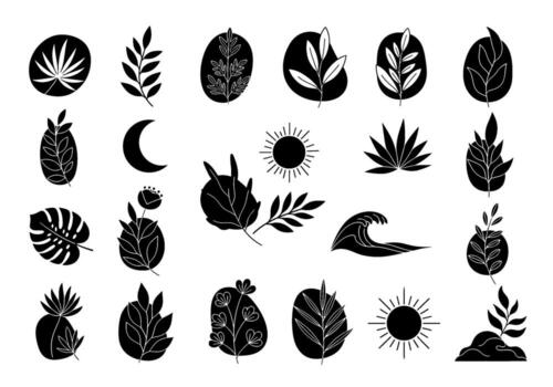 elegante botánico siluetas en un minimalista estilo creando un sereno y natural ambiente con Dom Luna y ola elementos en un blanco vector