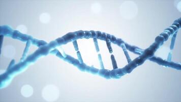 DNA ist ein doppelt Wendel Struktur Das ist gemacht oben von zwei Stränge video