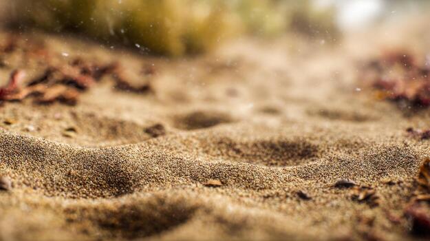 Close up of textured sand with blurred natural elements and sunlight photo