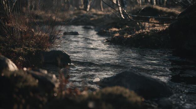 Tranquil stream flowing through a forested landscape with sunlight photo