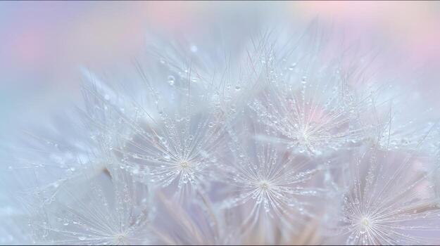 cerca arriba de mullido diente de león semilla cabeza con delicado detalles y suave colores foto