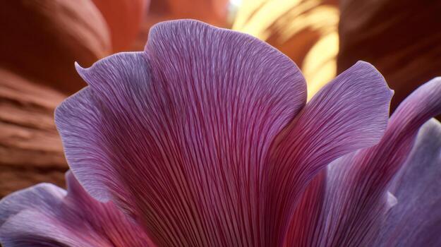 Close up of a vibrant purple flower in soft focus against a blurred background photo