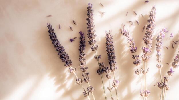 Close up of lavender flowers soft lighting and copy space on neutral background photo