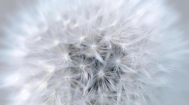 cerca arriba de un diente de león flor cabeza demostración delicado semillas detalles foto