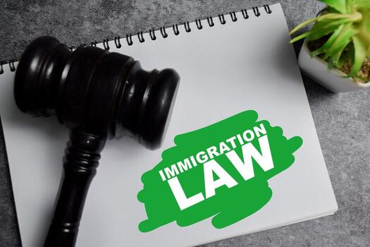 Concept of immigration law write on book with gavel isolated on Wooden Table. photo