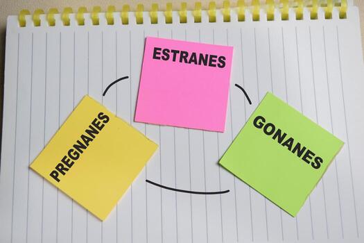 Concept of types of progesterone. Pregnanes, estranes, gonanes write on sticky notes isolated on Wooden Table. photo