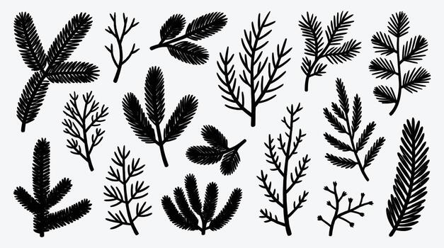 Hand drawn pine tree branches set isolated on white background vector