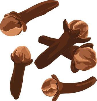 Illustration of several brown cloves scattered on a white background, showcasing their distinctive shape and texture. vector