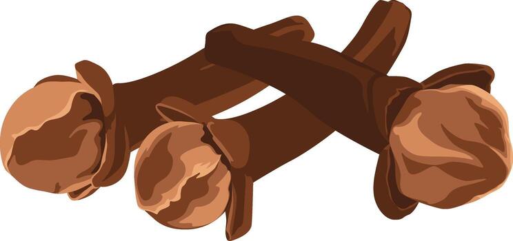 Three clove spices, brown in color, are overlapping on a white background. vector