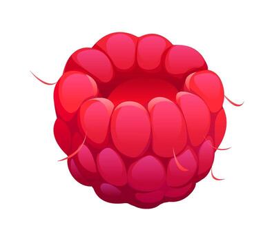 Cartoon ripe raspberry berry with shiny texture vector