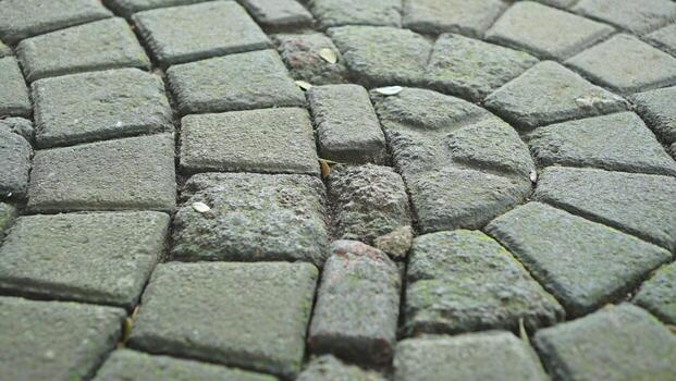 A path in the garden that uses neatly arranged stones, paving photo