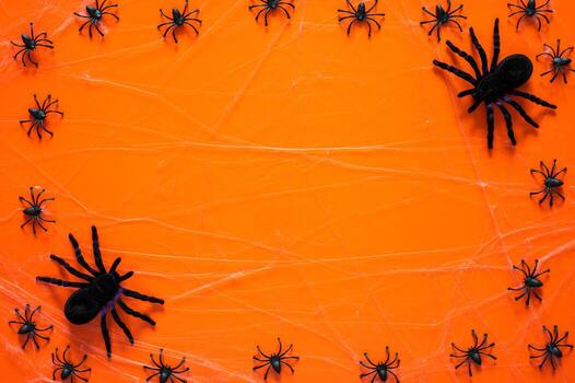 Halloween background with big and small spiders on cobweb on orange background. Minimal concept. photo