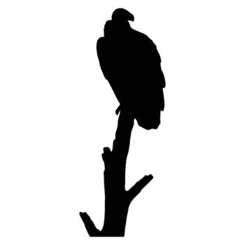 Silhouette of an Eagle Perched on a Tree Branch A Powerful and Majestic Symbol vector