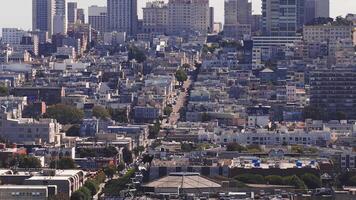 aéreo ver de san francisco cuadrícula me gusta calles, vistoso edificios, y verdor, con fuerza de ventas torre y céntrico rascacielos en el antecedentes. video