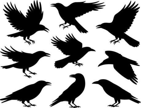 Collection of nine silhouette crows in various poses flying and perching artistic rendering vector