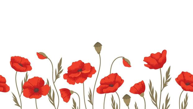 Seamless bottom border with poppies. Wildflowers frame, botanical background for design vector