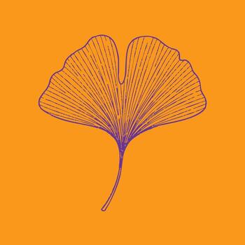Minimalist Ginkgo Leaf Outline with Vibrant Orange Emphasizing Nature and Botanical Simplicity vector