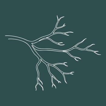 minimalista de un árbol rama con múltiple leña menuda y No hojas en un sólido vector