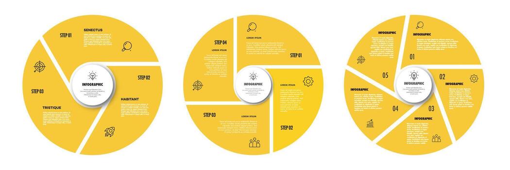 Circle chart infographic template set flat trendy style for presentation vector