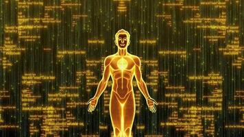 digitale umano codice ai coscienza raggiante wireframe figura circondato di dinamico, colorato programmazione dati flussi, illustrare genetico informazione e cibernetico futuro, digitale umano video