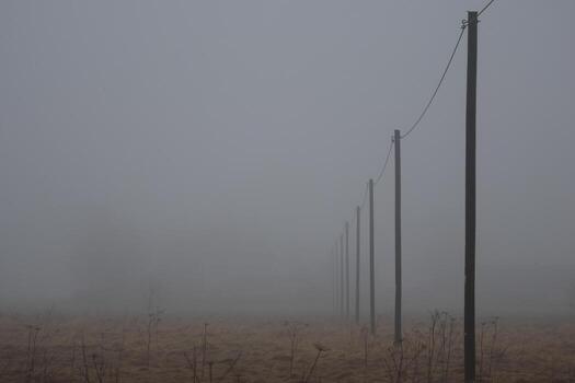 Electricity poles in the fog. Autumn field with fog. photo