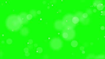mjuk fokus bokeh lampor över grön skärm krom nyckel bakgrund för visuell effekter och redigering video