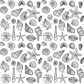 Hand-drawn seashells and starfish design vector