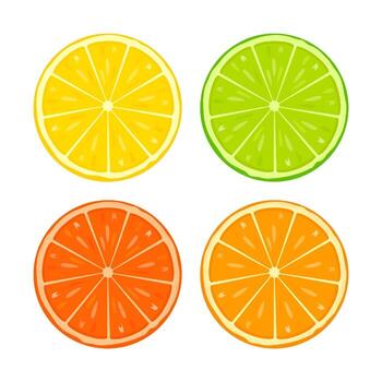 Set of citrus lemon, lime, orange, grapefruit - slices. illustration isolated on white background. vector